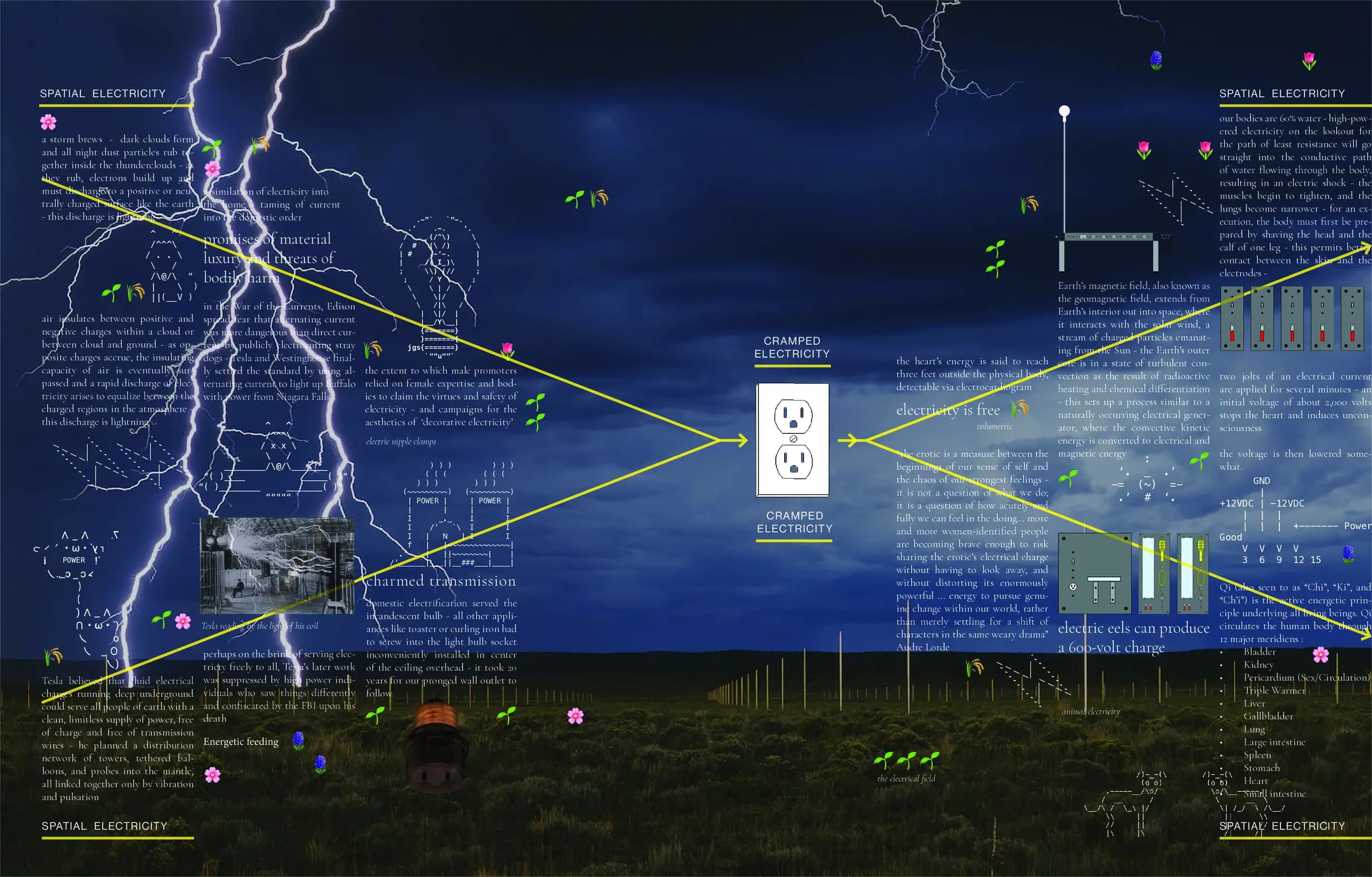 The Electrical Field, by Sarah Kantrowitz.