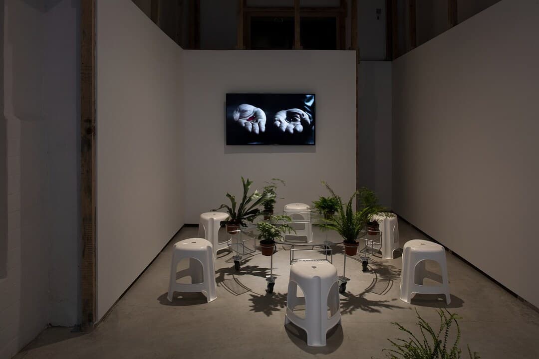 Appropriation of Case Study 69 (Temporary Offices of APRDELESP), 2019 ©️ APRDELESP Archive